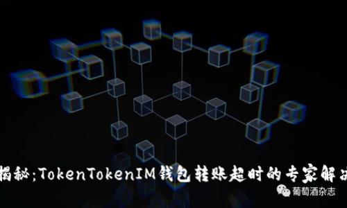 独家揭秘：TokenTokenIM钱包转账超时的专家解决秘诀