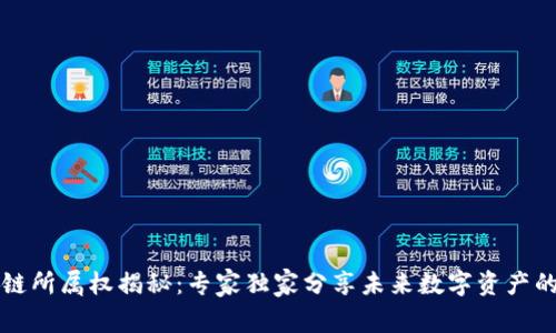 区块链所属权揭秘：专家独家分享未来数字资产的秘诀