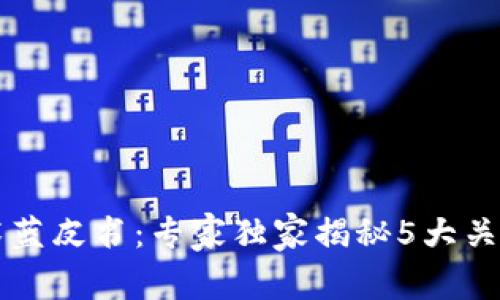 区块链技术蓝皮书：专家独家揭秘5大关键技术秘诀