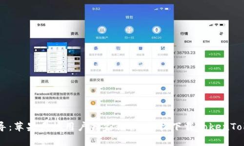 专家指导：苹果手机用户独家秘诀，轻松下载TokenToken钱包