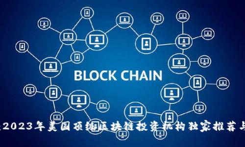 专家揭秘：2023年美国顶级区块链投资机构独家推荐与投资秘诀