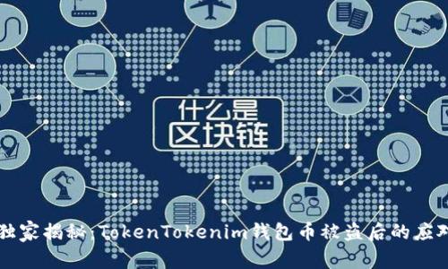 专家独家揭秘：TokenTokenim钱包币被盗后的应对秘诀