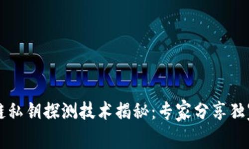 区块链私钥探测技术揭秘：专家分享独家秘诀