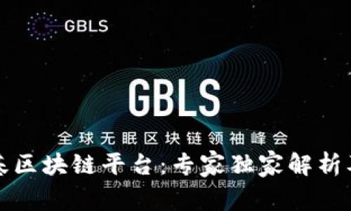 揭秘马士基区块链平台：专家独家解析及使用秘诀