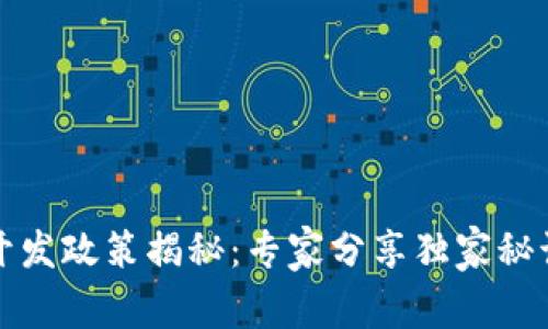 区块链开发政策揭秘：专家分享独家秘诀与建议