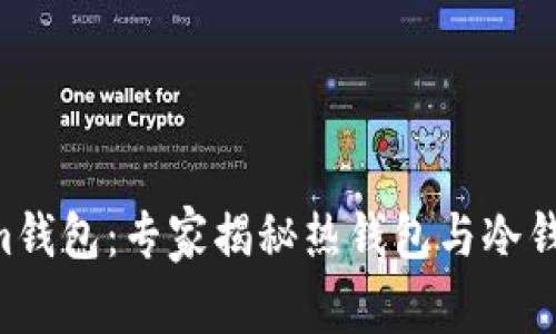 Tokentokenim钱包：专家揭秘热钱包与冷钱包的独家秘诀