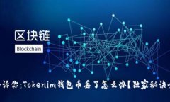 专家告诉你：Tokenim钱包币
