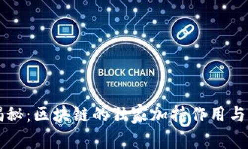 区块链专家揭秘：区块链的独家加持作用与未来发展秘诀