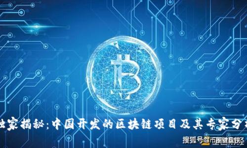 独家揭秘：中国开发的区块链项目及其专家分析