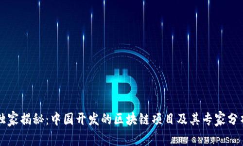 独家揭秘：中国开发的区块链项目及其专家分析