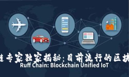 2023年区块链专家独家揭秘：目前流行的区块链技术与项目