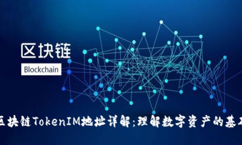 区块链TokenIM地址详解：理解数字资产的基础