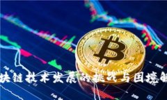 区块链技术发展的挑战与