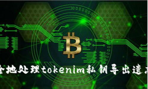如何安全地处理tokenim私钥导出遗忘的问题