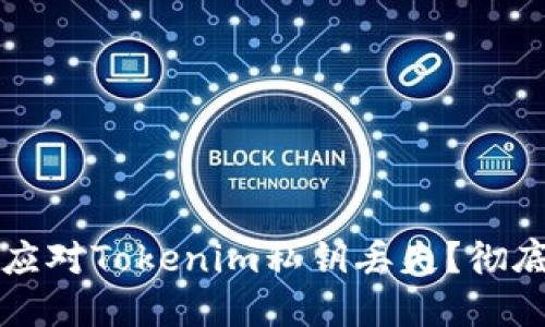 如何应对Tokenim私钥丢失？彻底指南