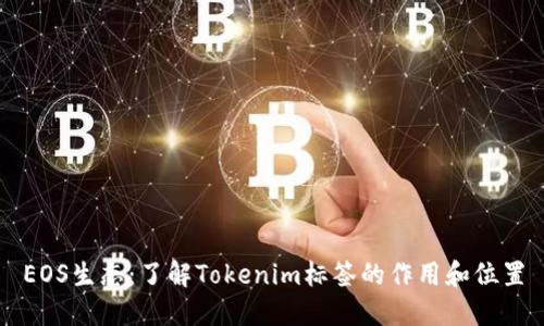 EOS生态：了解Tokenim标签的作用和位置