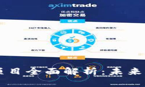 区块链新基建项目全面解析：未来科技的核心支柱