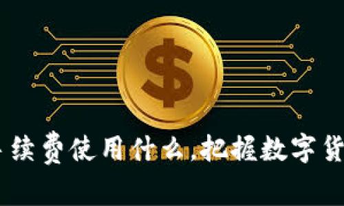 Tokenim 的手续费使用什么，把握数字货币交易的核心