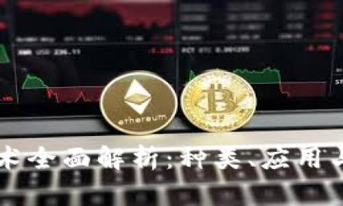 区块链技术全面解析：种类、应用与玩法指南