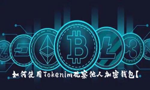 如何使用Tokenim观察他人加密钱包？