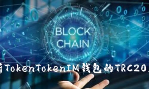 全面解析TokenTokenIM钱包的TRC20充币方式