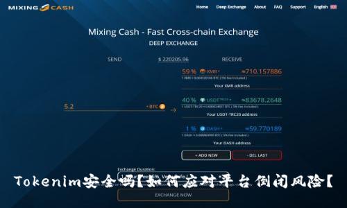 Tokenim安全吗？如何应对平台倒闭风险？